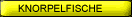 Knochenfische